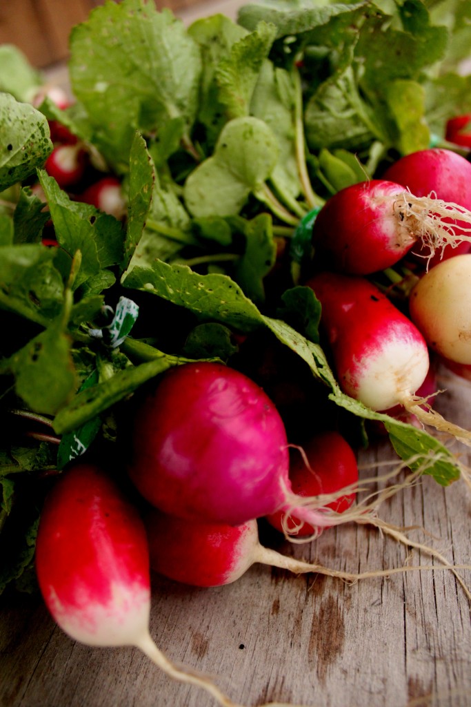 Radishes