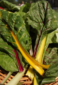 Chard