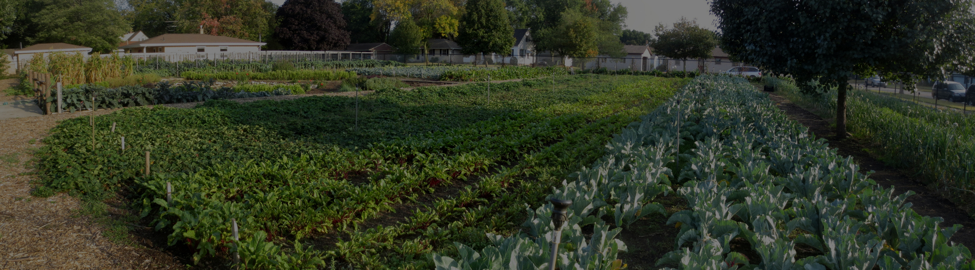 Eighth Day Farm photo 3